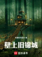 壁上旧锦城TXT最新章节下载-壁上旧锦城小说电子版下载