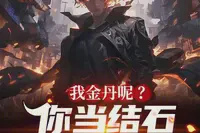 我金丹呢?你当结石摘出来了?TXT最新章节下载-我金丹呢?你当结石摘出来了?小说电子版下载
